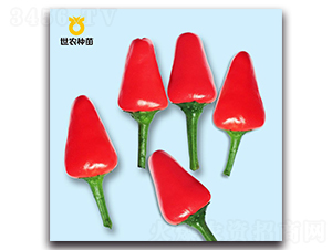 �׿���-�����N��-���r�N��