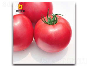 ����-���ѷN��-���r�N��