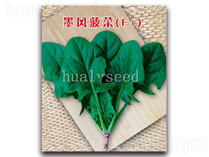 ī�L����F1-���˷N��-�A�G