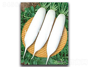 ������-�}���N��-�A�G