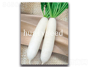 �Ĺ����-�}���N��-�A�G