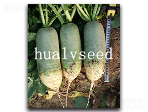 ���H��̖-�}���N��-�A�G