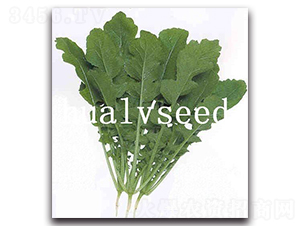 �~���}��-�}���N��-�A�G