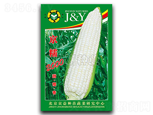 ��Ŵ2000-Ŵ���׷N��-���зN�I