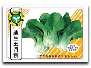 ����������-�Ͳ˷N��-���зN�I