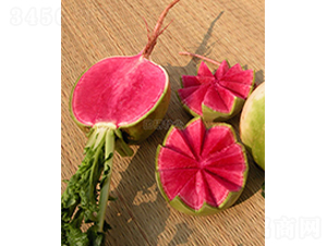 ��M�t�s���}��-�}���N��-���зN�I