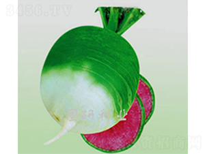 �����M�üt-�}���N��-���зN�I