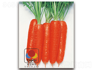 һƷ÷-���}���N��-�S�{�N��