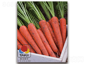 �����t-���}���N��-�S�{�N��