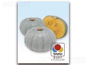 �y������-�ϹϷN��-�S�{�N��