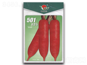 501ˮ�}��-�}���N��-�ʴ��r�I