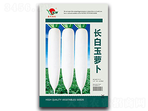 �L�����}��-�}���N��-�ʴ��r�I