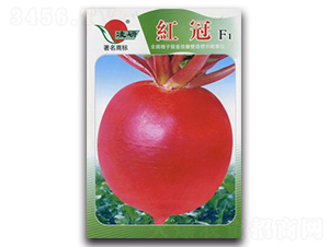 �t��F1-�}���N��-�ʴ��r�I