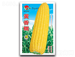 �S��Ŵ-Ŵ���׷N��-�ʴ��r�I