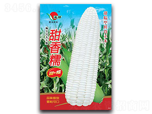 ����Ŵ-Ŵ���׷N��-�ʴ��r�I