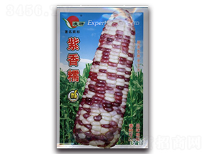 ����Ŵ-Ŵ���׷N��-�ʴ��r�I