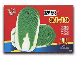 ��ӯ91-19-�ײ˷N��-�ʴ��r�I