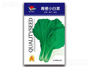 �๣С�ײ�-�ײ˷N��-�ʴ��r�I