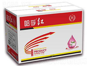 С���������a�M�ϰ������b��-��������