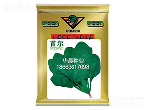 �נ�-���˷N��-�A���N�I(y��)