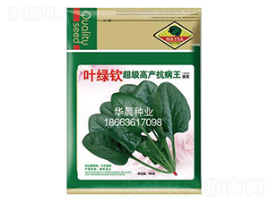 �~�G�J-���˷N��-�A���N�I(y��)