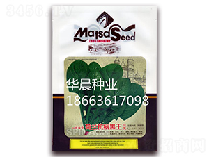 ���m��������-���˷N��-�A���N�I