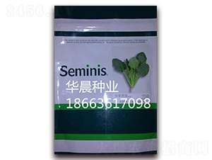 �ʼҺڏ�-���˷N��-�A���N�I