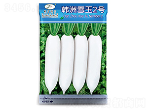 �n��ѩ��2̖-�}���N��-�Ը��N��