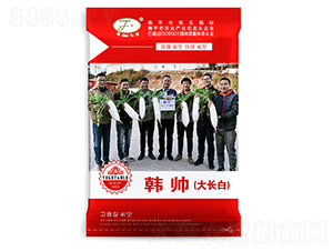 �n�����L��-�}���N��-�Ը��N��