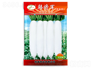 �n��܊���L��-�}���N��-�Ը��N��