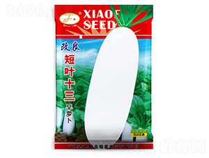 �������~ʮ��-�}���N��-�Ը��N��