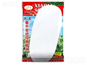 �t��������-�}���N��-�Ը��N��