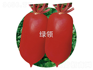 �ļt1̖-�}���N��-�G�I�N�I