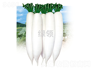 �İ�1̖-�}���N��-�G�I�N�I