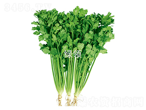 �F�U���-��˷N��-�G�I�N�I