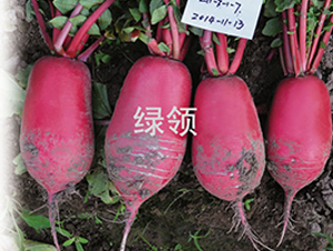 ��t-�}���N��-�G�I�N�I