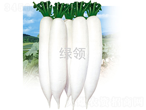 ���1̖-�}���N��-�G�I�N�I