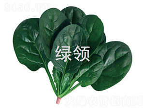 ī�G1807-���˷N��-�G�I�N�I