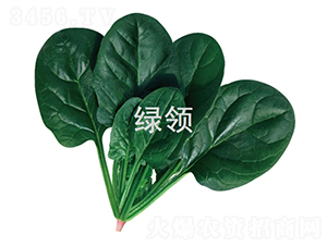 ī�G1806-���˷N��-�G�I�N�I