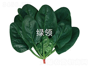 ī�G1805-���˷N��-�G�I�N�I