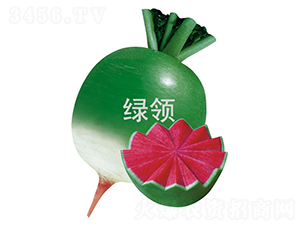 �G�I�M�üt-�}���N��-�G�I�N�I