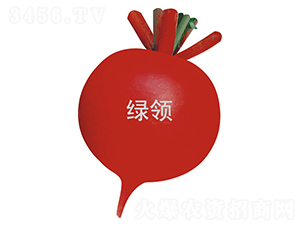 �t��40-�}���N��-�G�I�N�I