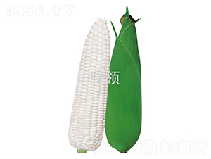 ��Ŵ1̖-���׷N��-�G�I�N�I