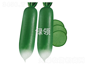 ������-�}���N��-�G�I�N�I