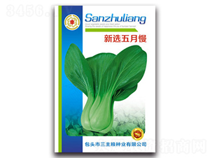 ���x������-��˷N��-�����Z