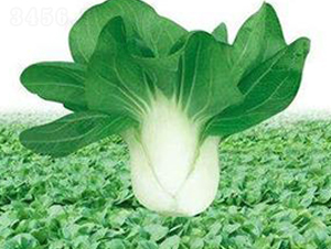 ���L��-���˷N��-�����Z