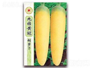 �ň@�S�ں��}��-���}���N��-�����Z