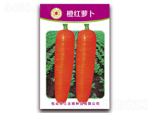 �ȼt�}��-�}���N��-�����Z