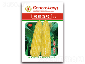 �SŴ��̖-Ŵ���׷N��-�����Z