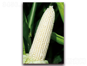 ��Ŵ691-Ŵ���׷N��-���r(n��ng)��